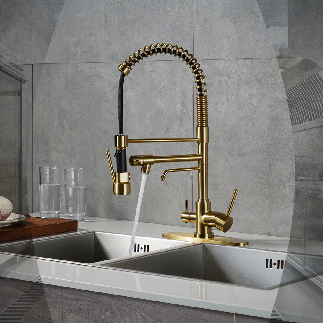 Spring Double Handle Pull Down Sprayer Kitchen Faucet with Drinking Water Outlet, Pot Filler Spray in Brushed Gold - Image 4